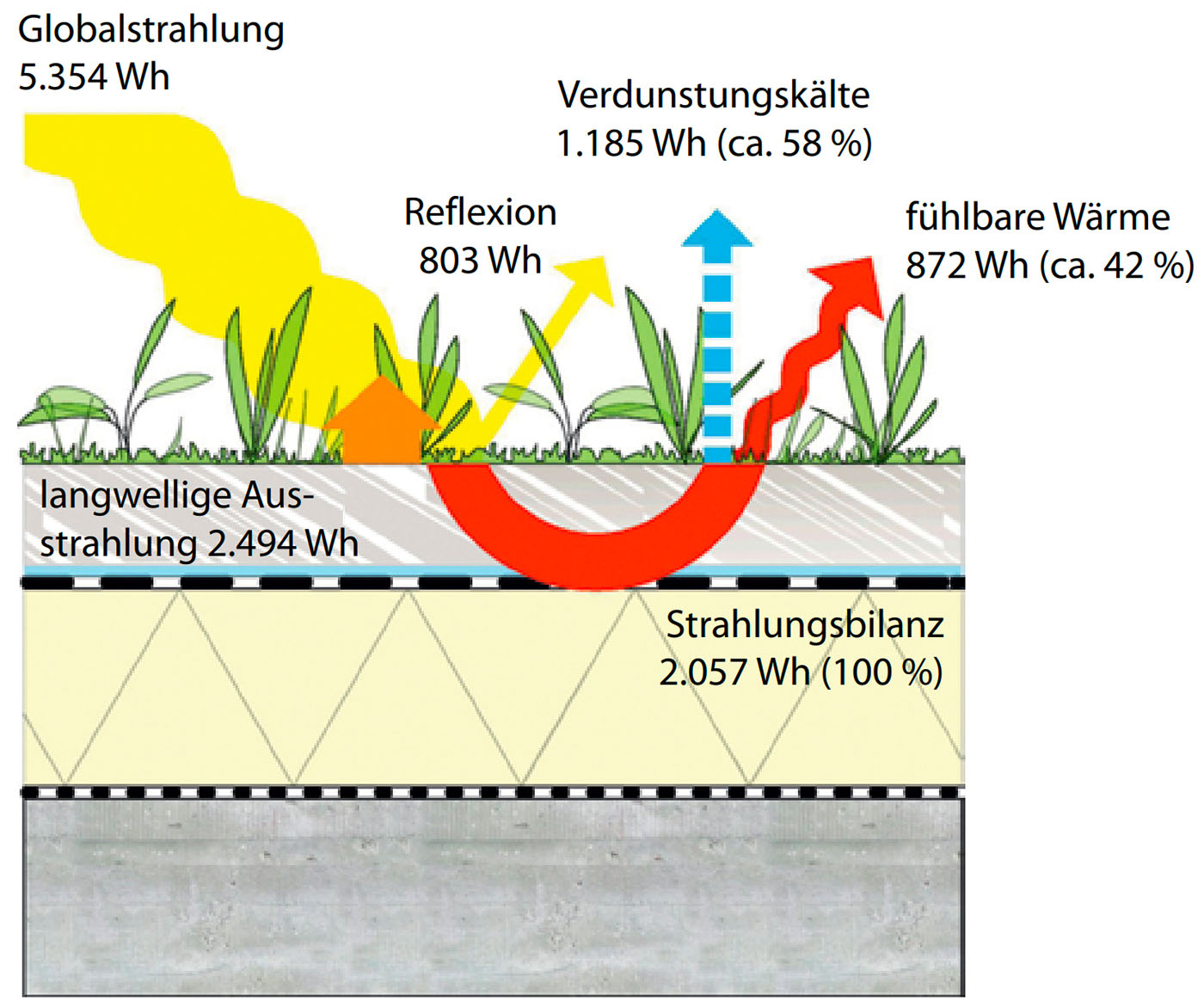 Grafik einer Energiebilanz eines Gründachs im Tagesmittel