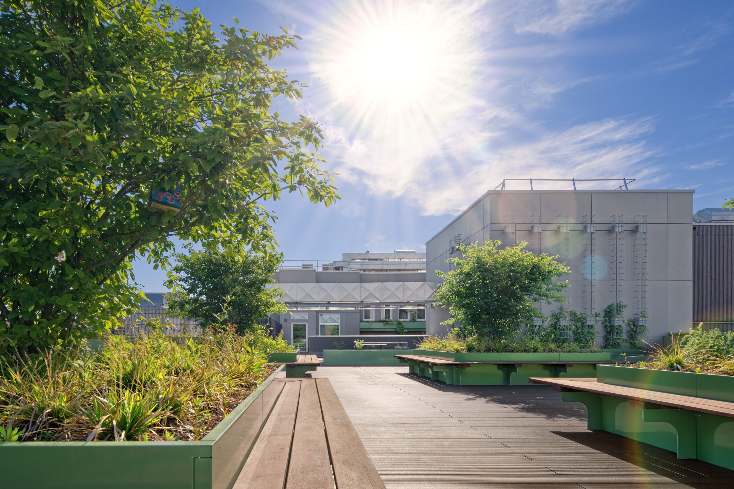 Schuldach mit Grünpflanzen