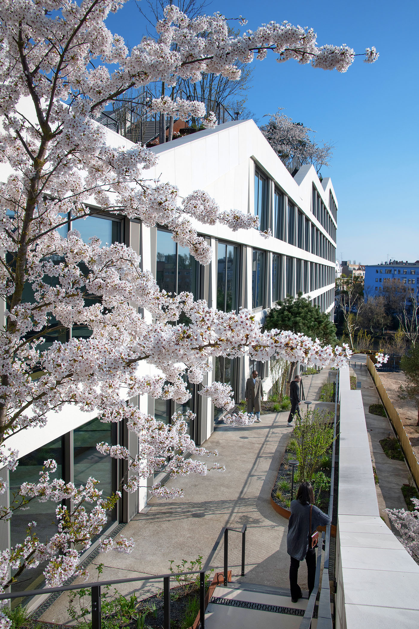 Weiße Fassade eines Bürogebäudes mit vielen Fenstern und Bäumen und Büschen