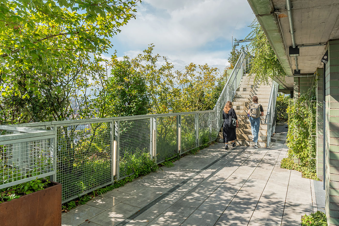 Bergpfad auf dem Hochbunker in Hamburg zwischen Büschen