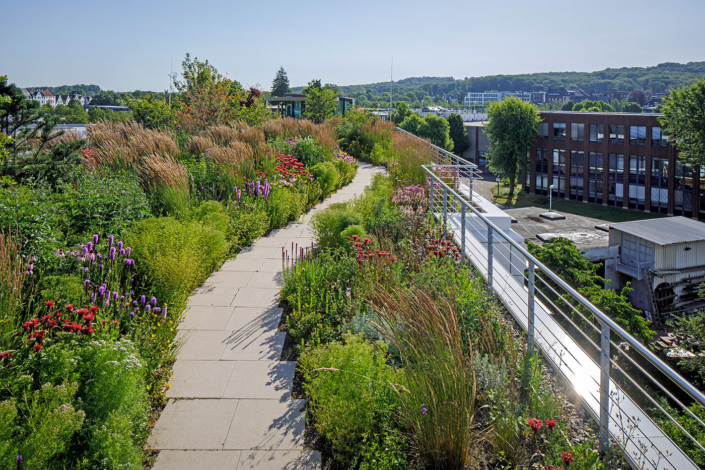 Dachterrasse des Düsseldorfer Deck twenty one mit Plattenweg zwischen blühenden Stauden