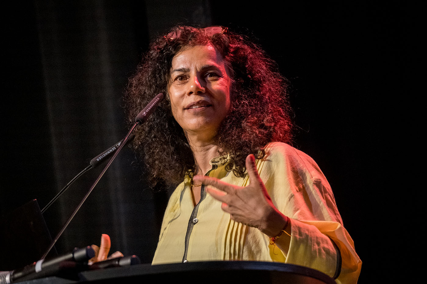 Anupama Kundoo am Rednerpult