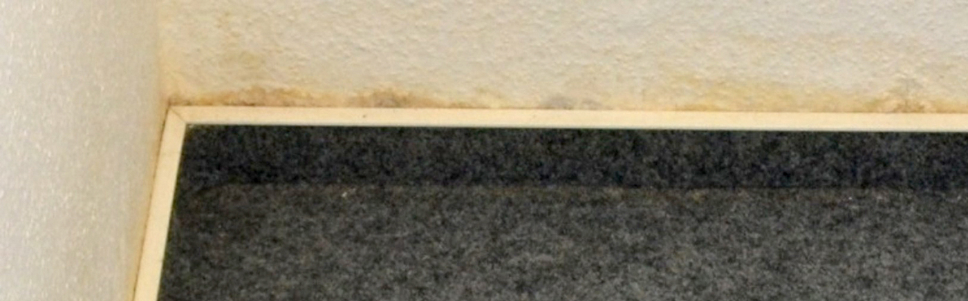 Zimmerwand mit feuchter Tapete an der Sockelleiste